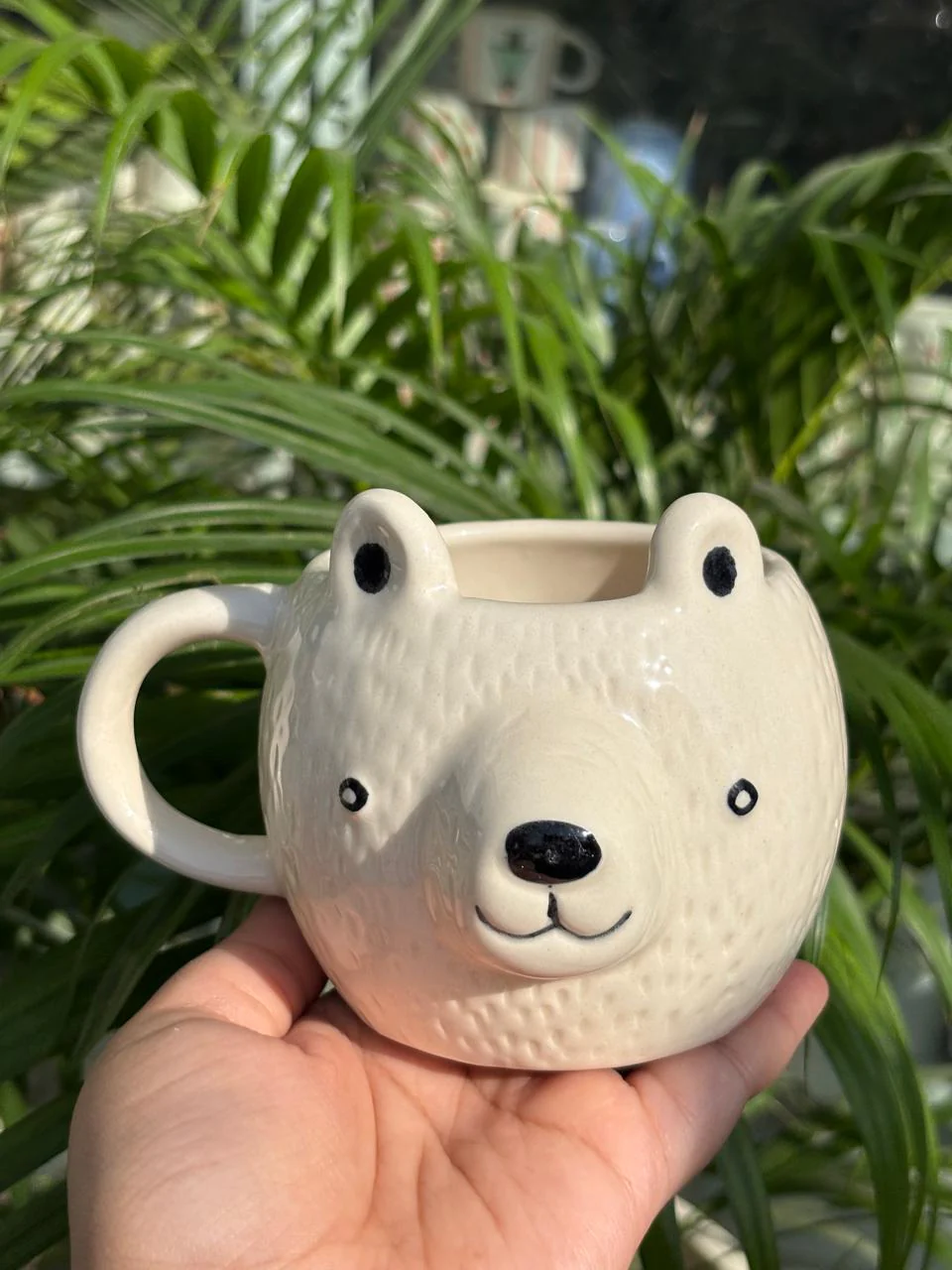Cocoa The Bear