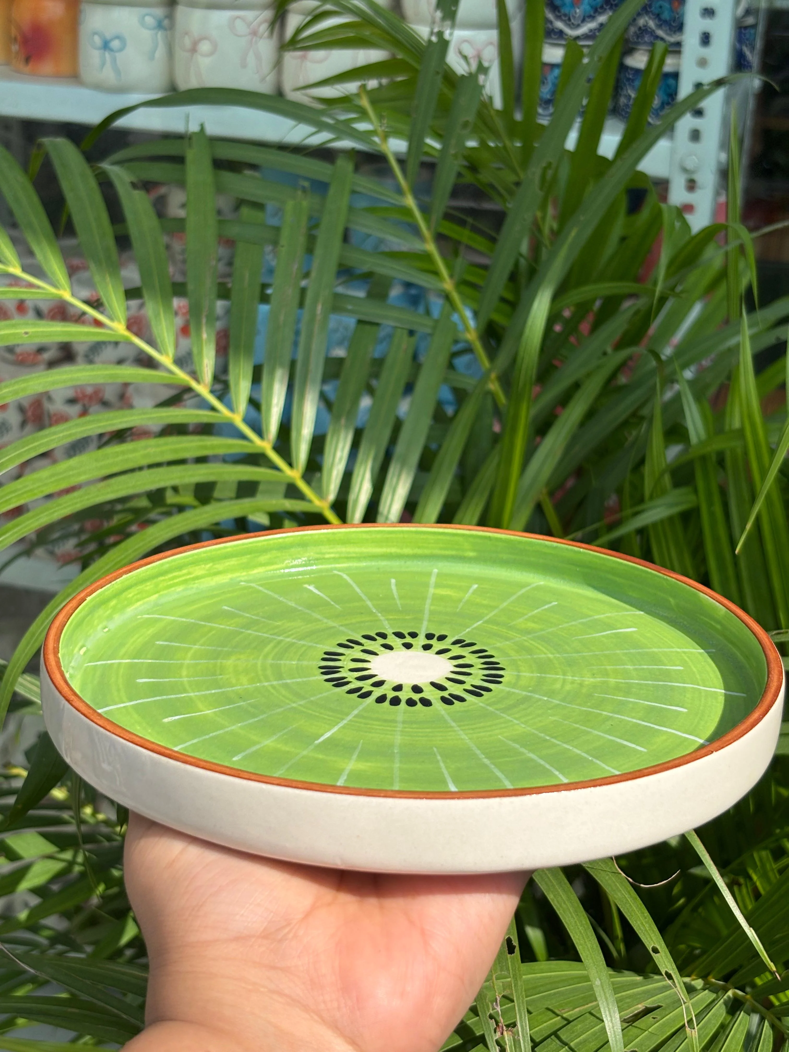 Kiwi Snack Plate/Platter - Image 2