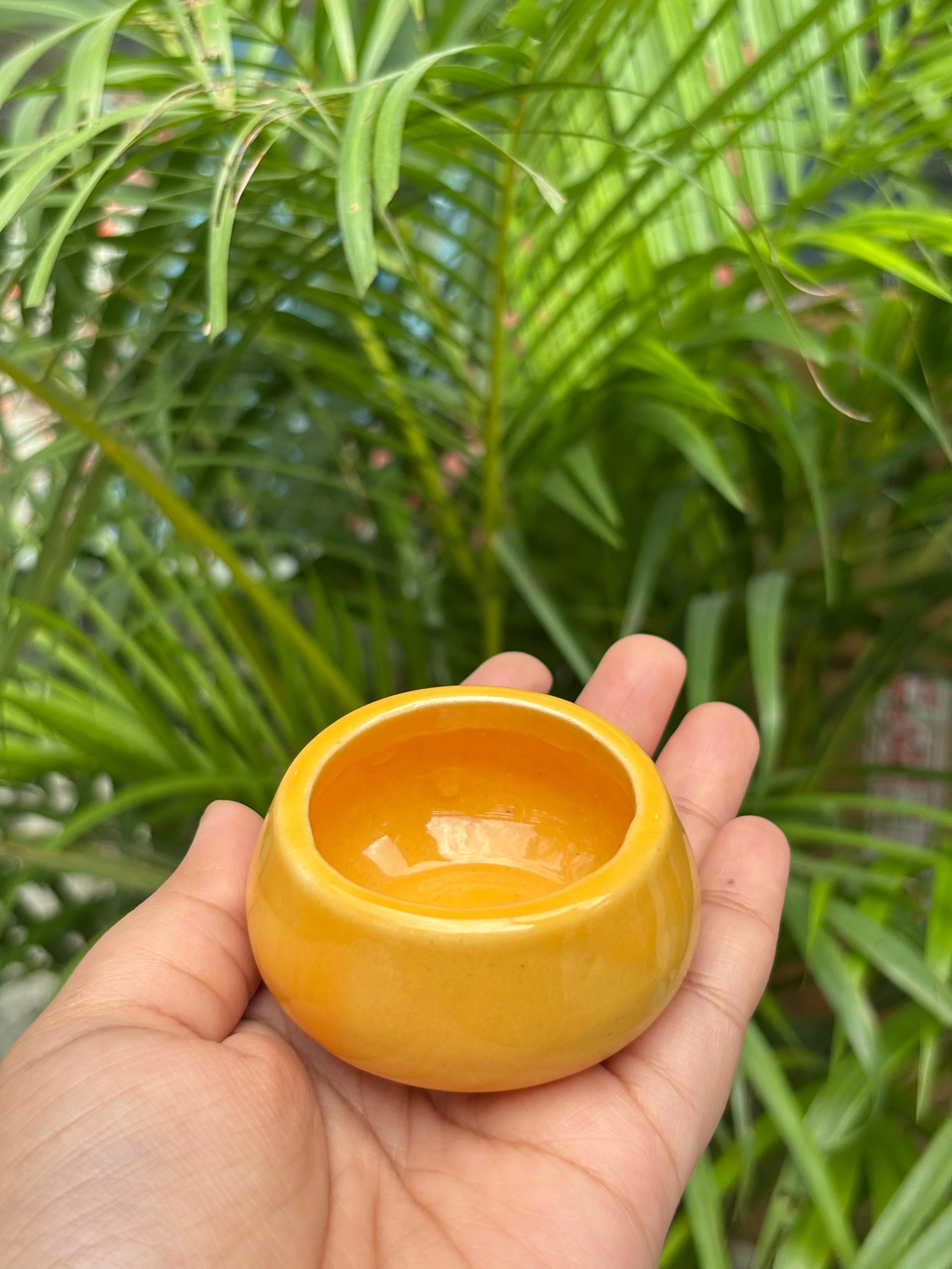 Shubh Rang Diya's (Set of 5 Assorted Colors) - Image 2