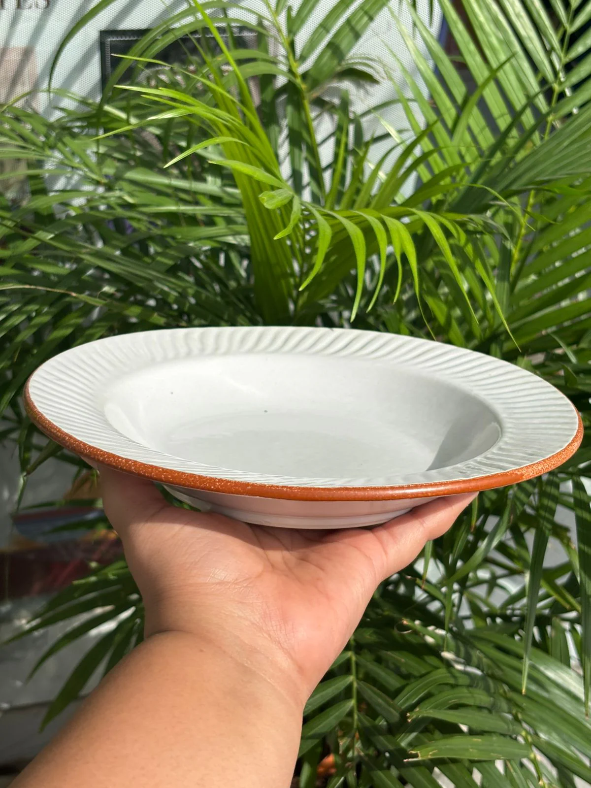 White Pasta Plates with Brown Line Rim (Set of 2) (9.5inc) - Image 3